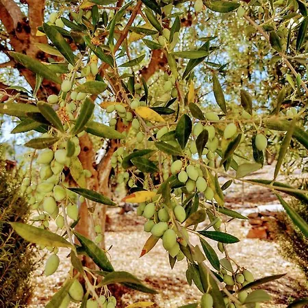 Ξενοδοχείο Apollo Peloponnes *