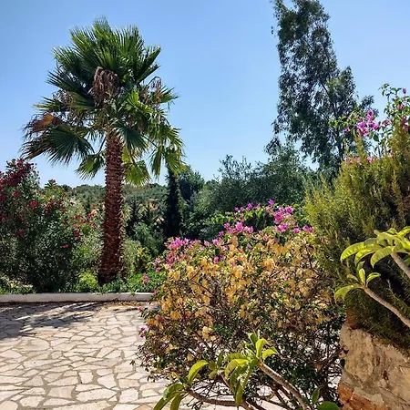 Apollo Peloponnes * Βασιλίτσι