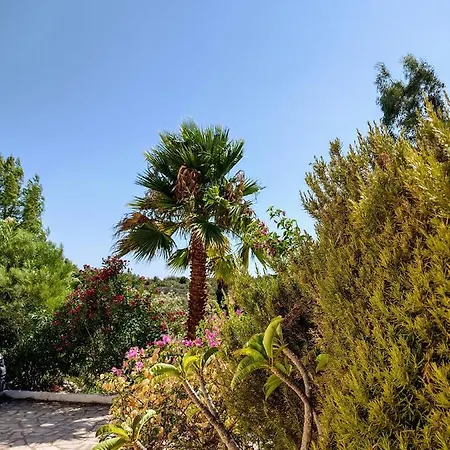 Apollo Peloponnes * Βασιλίτσι