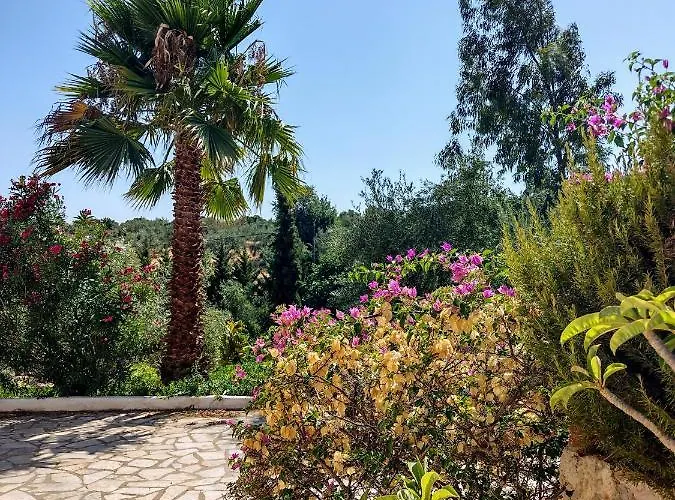 Apollo Peloponnes * Vasilítsion