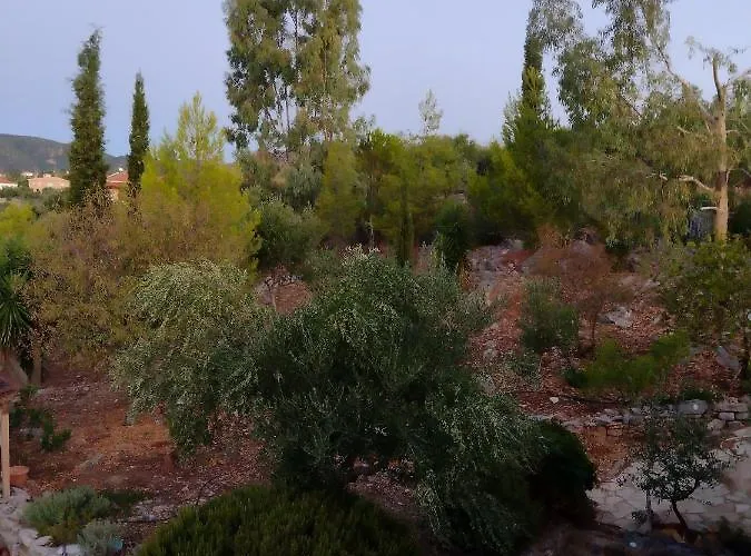 Apollo Peloponnes * Vasilítsion